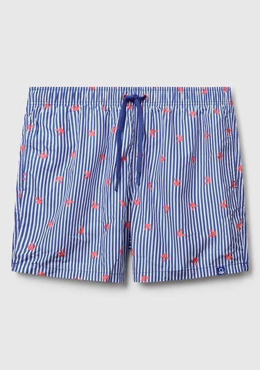  Erkek Mavi Mix Desenli Arkası Cep Detaylı Büzgü İpli Deniz Şortu