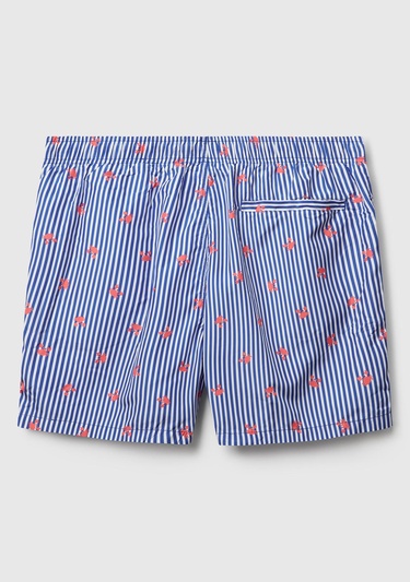  Erkek Mavi Mix Desenli Arkası Cep Detaylı Büzgü İpli Deniz Şortu