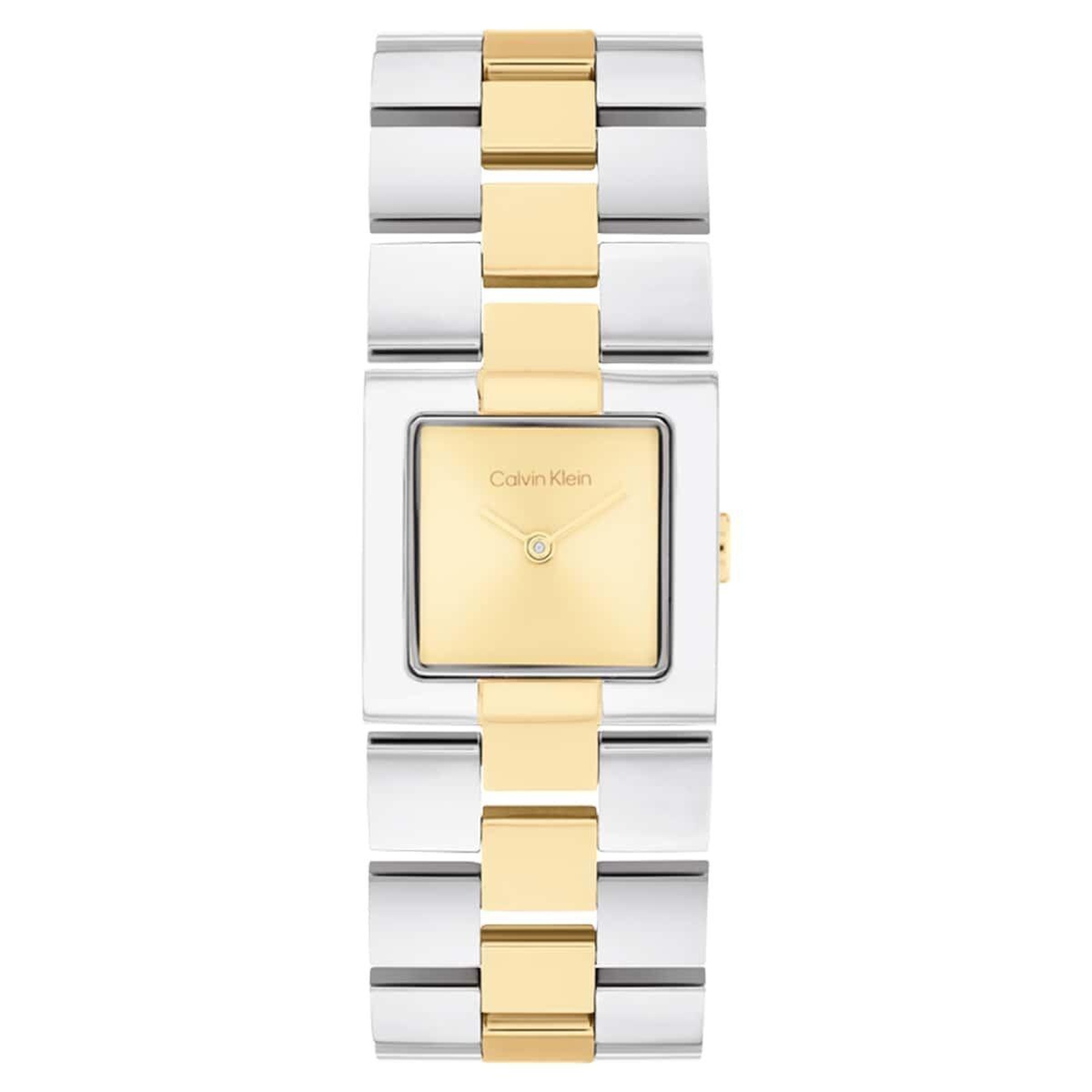 Calvin Klein CK25100115 Kadın Kol Saati