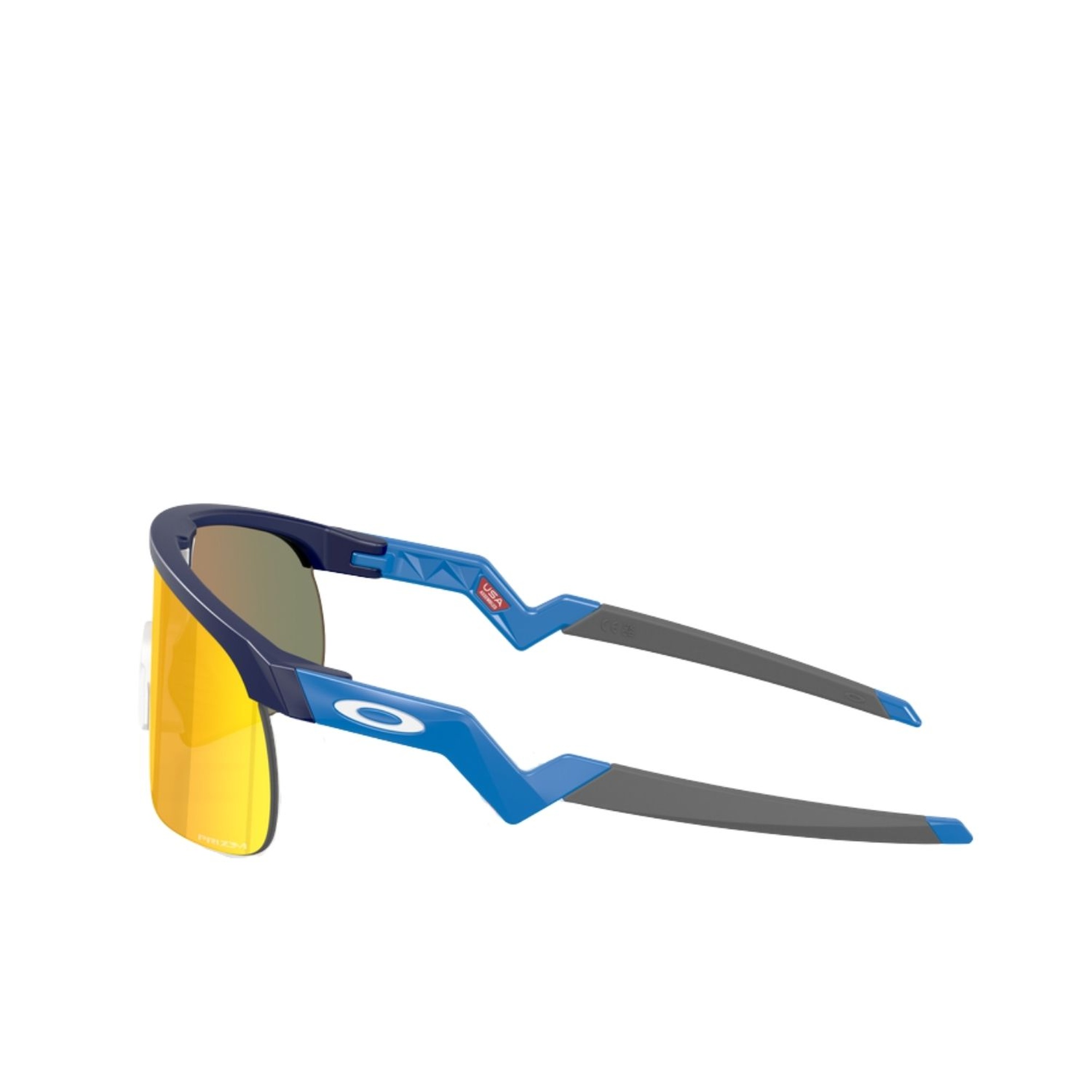 Oakley Resistor Erkek Mavi Gözlük