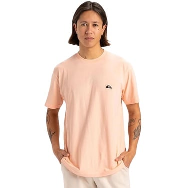  Quiksilver Basic Young Erkek Tişört