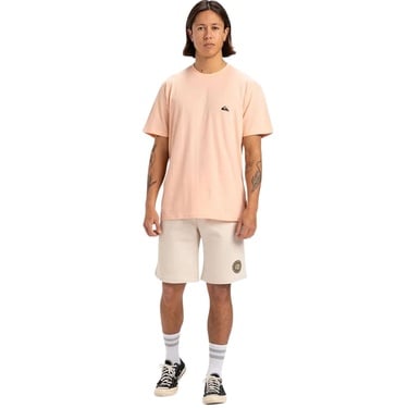  Quiksilver Basic Young Erkek Tişört