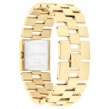  Calvin Klein CK25100089 Kadın Kol Saati