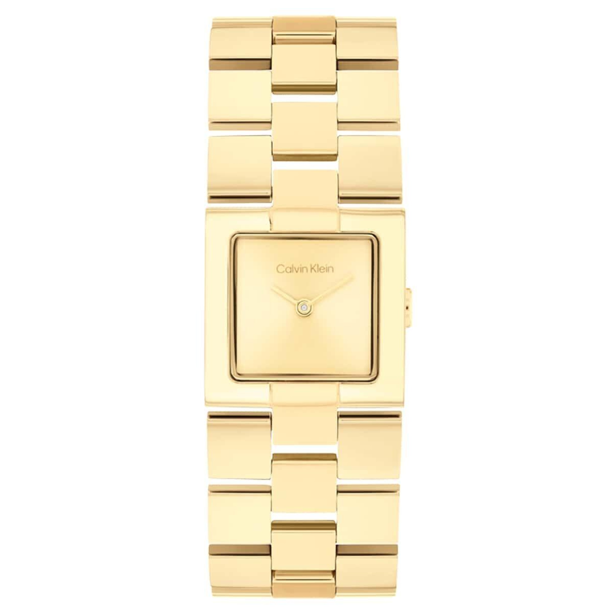 Calvin Klein CK25100089 Kadın Kol Saati