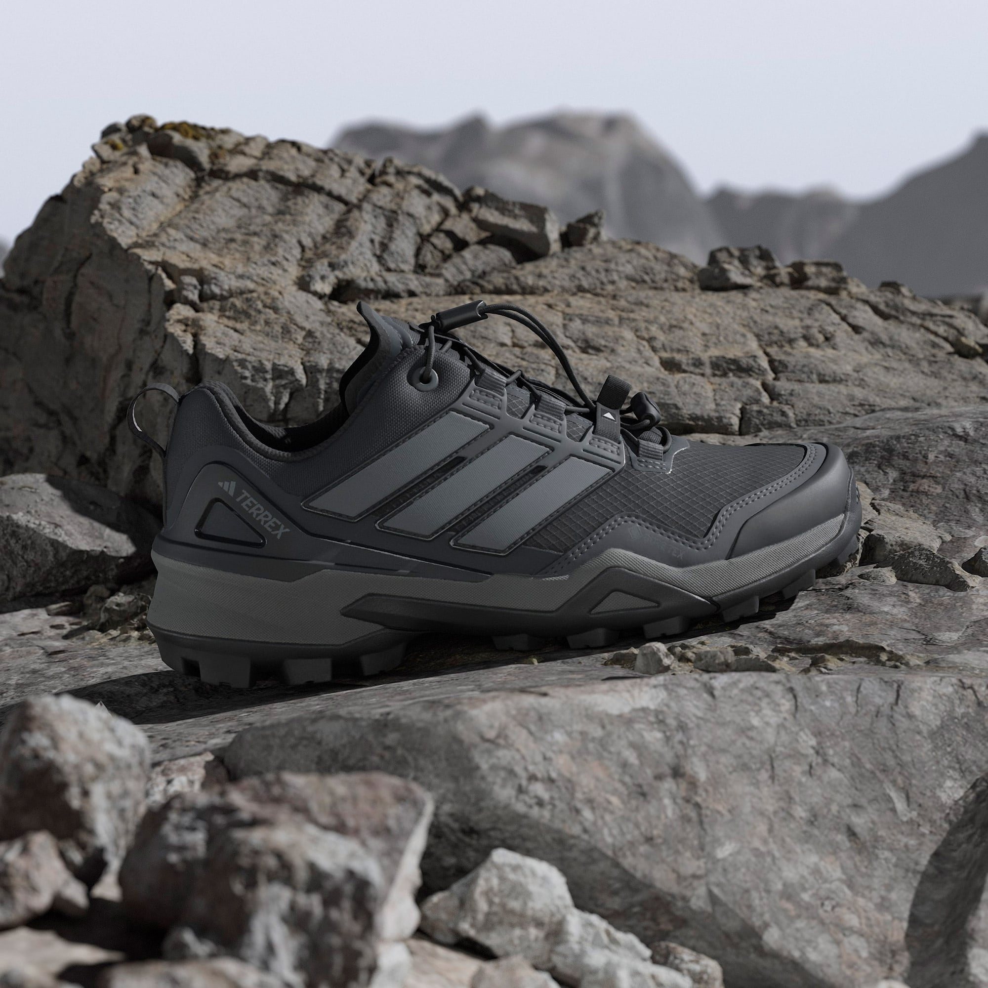adidas Terrex Skychaser Gore-Tex Kadın Siyah Outdoor Ayakkabı