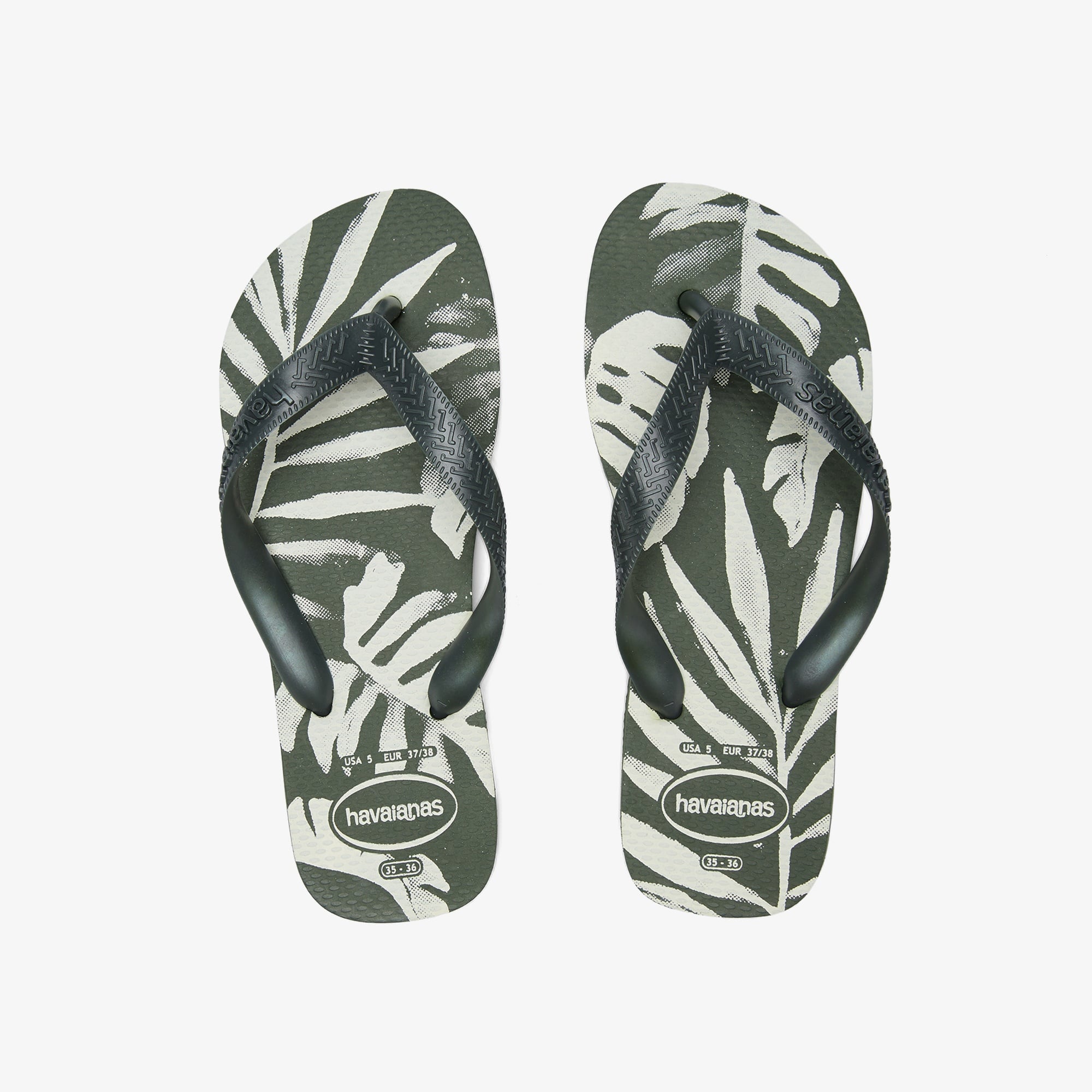 Havaianas Aloha Unisex Yeşil Terlik