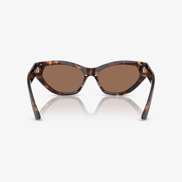  Jimmy Choo JC5022B Kadın Kahverengi Güneş Gözlüğü