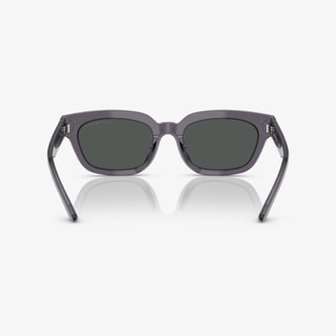  Emporio Armani EA4233U Kadın Gri Güneş Gözlüğü