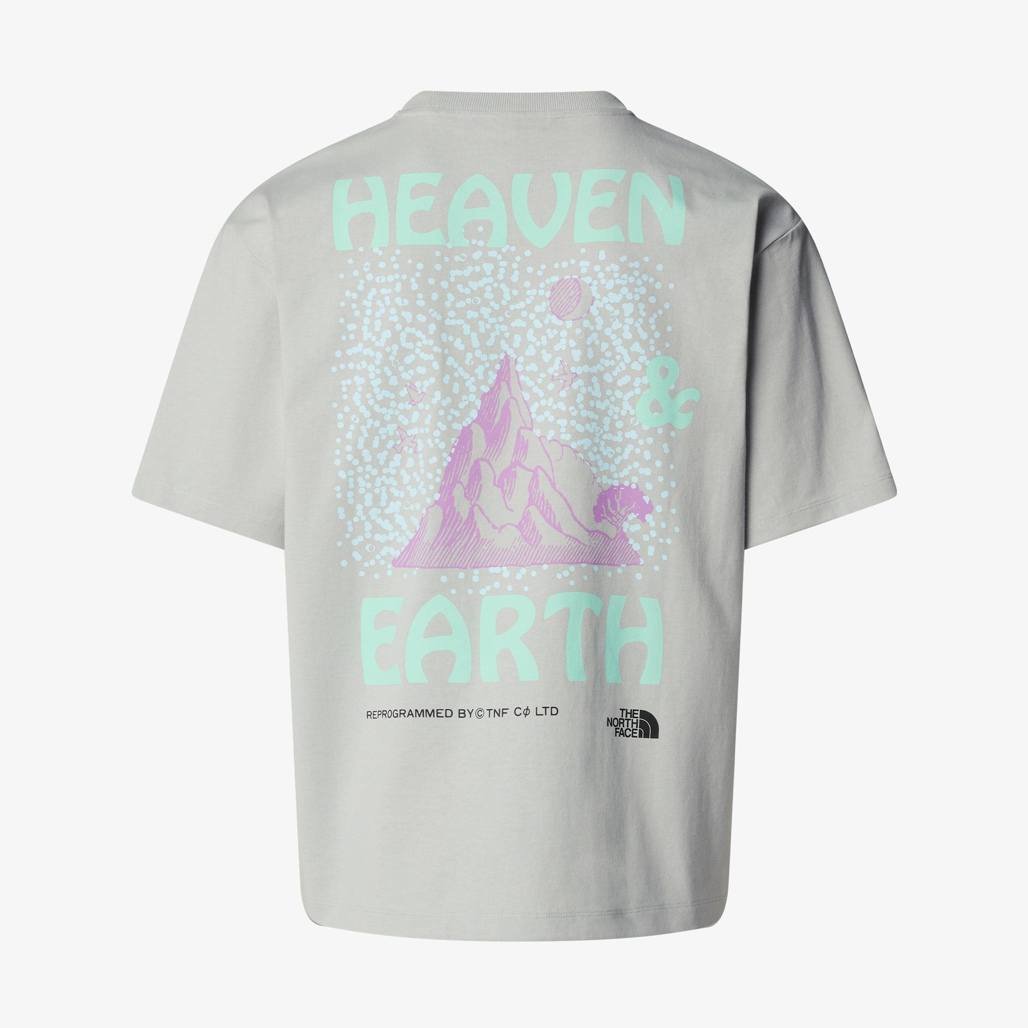 The North Face Haven Earth Erkek Gri T-Shirt