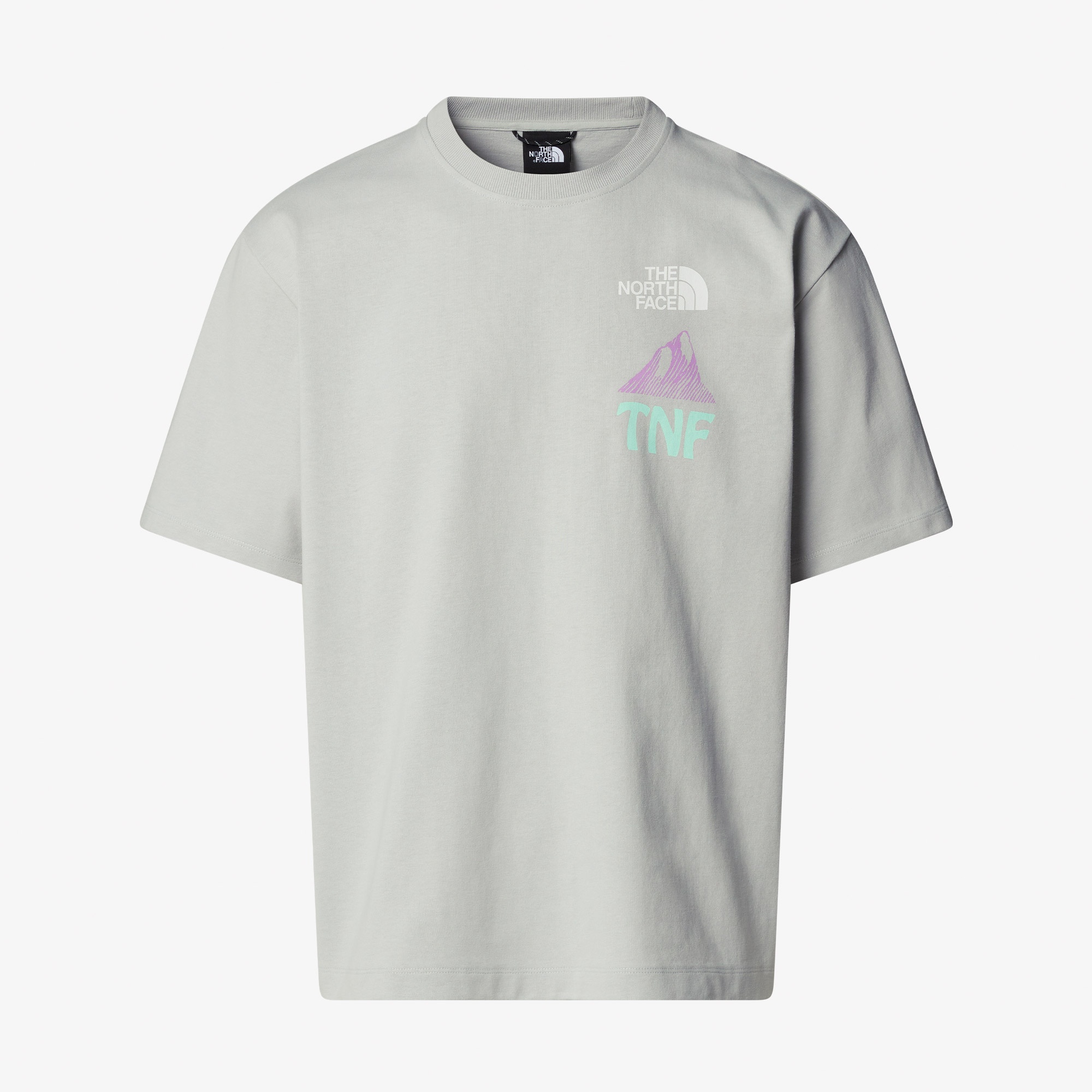 The North Face Haven Earth Erkek Gri T-Shirt