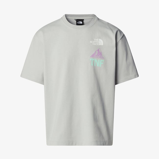  The North Face Haven Earth Erkek Gri T-Shirt