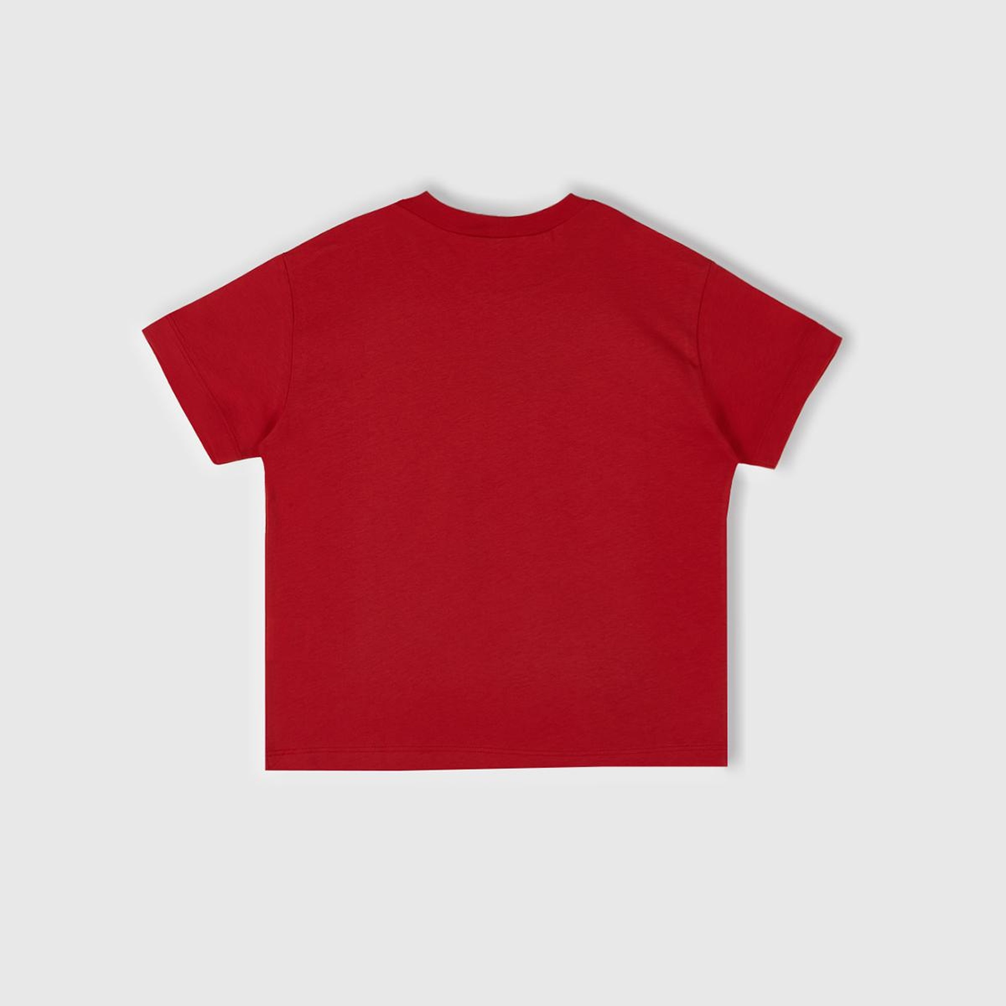 Erkek Çocuk Kırmızı Grafik Baskılı Kısa Kollu T-Shirt