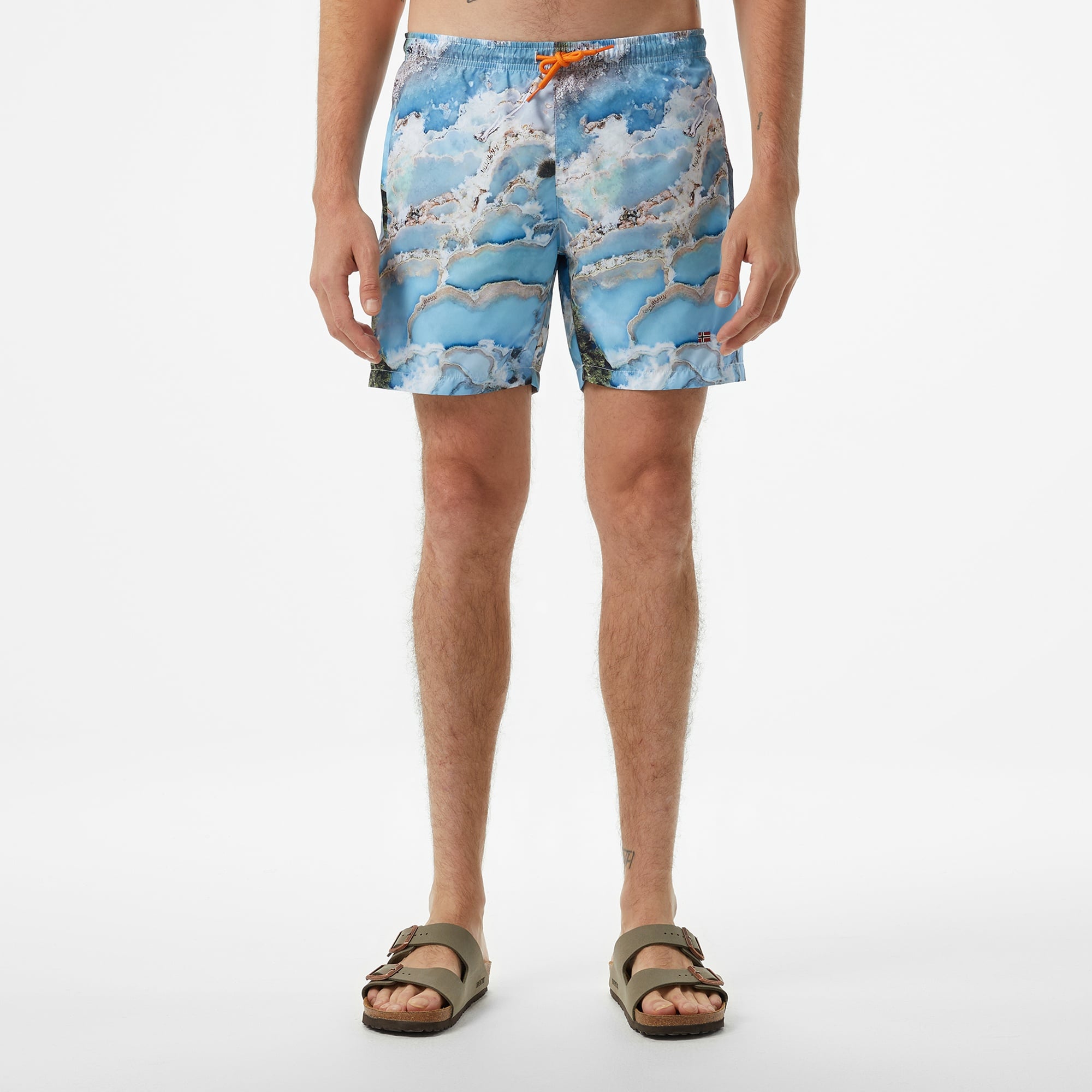 Napapijri  V-inuvik 1 Erkek Renkli Deniz Şortu