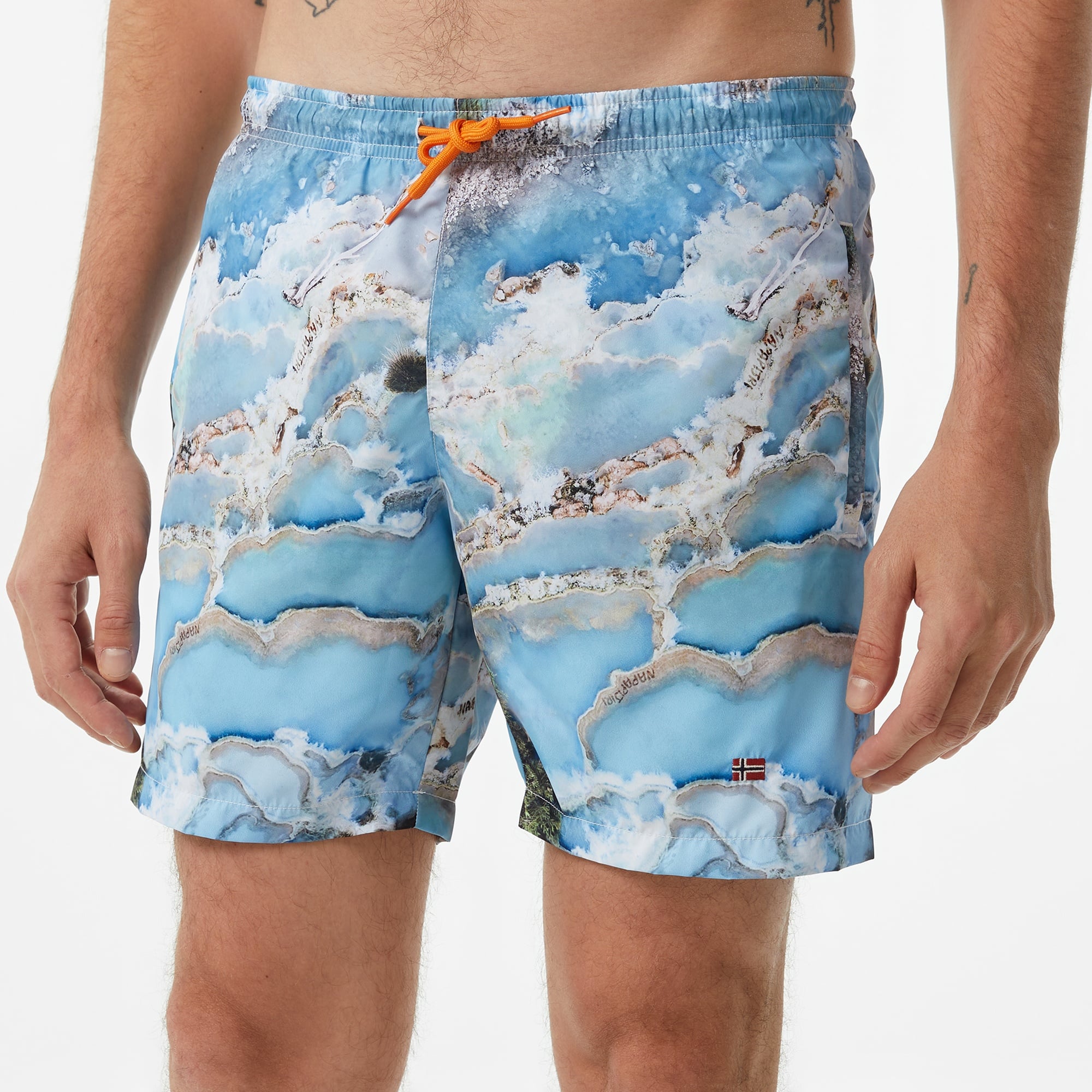 Napapijri  V-inuvik 1 Erkek Renkli Deniz Şortu