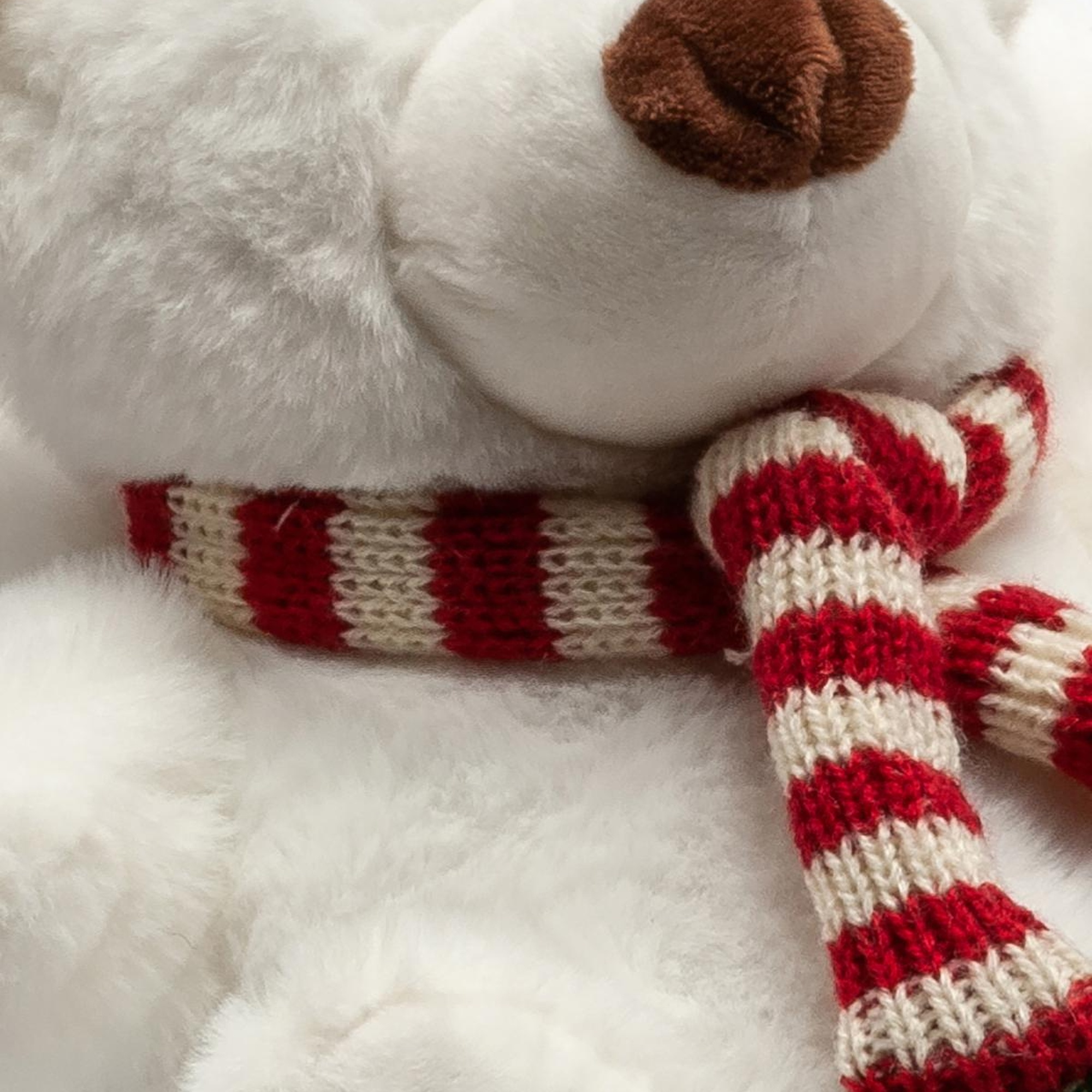 Kutup Kadın Hayvanlı Panduf Beyaz 36/41