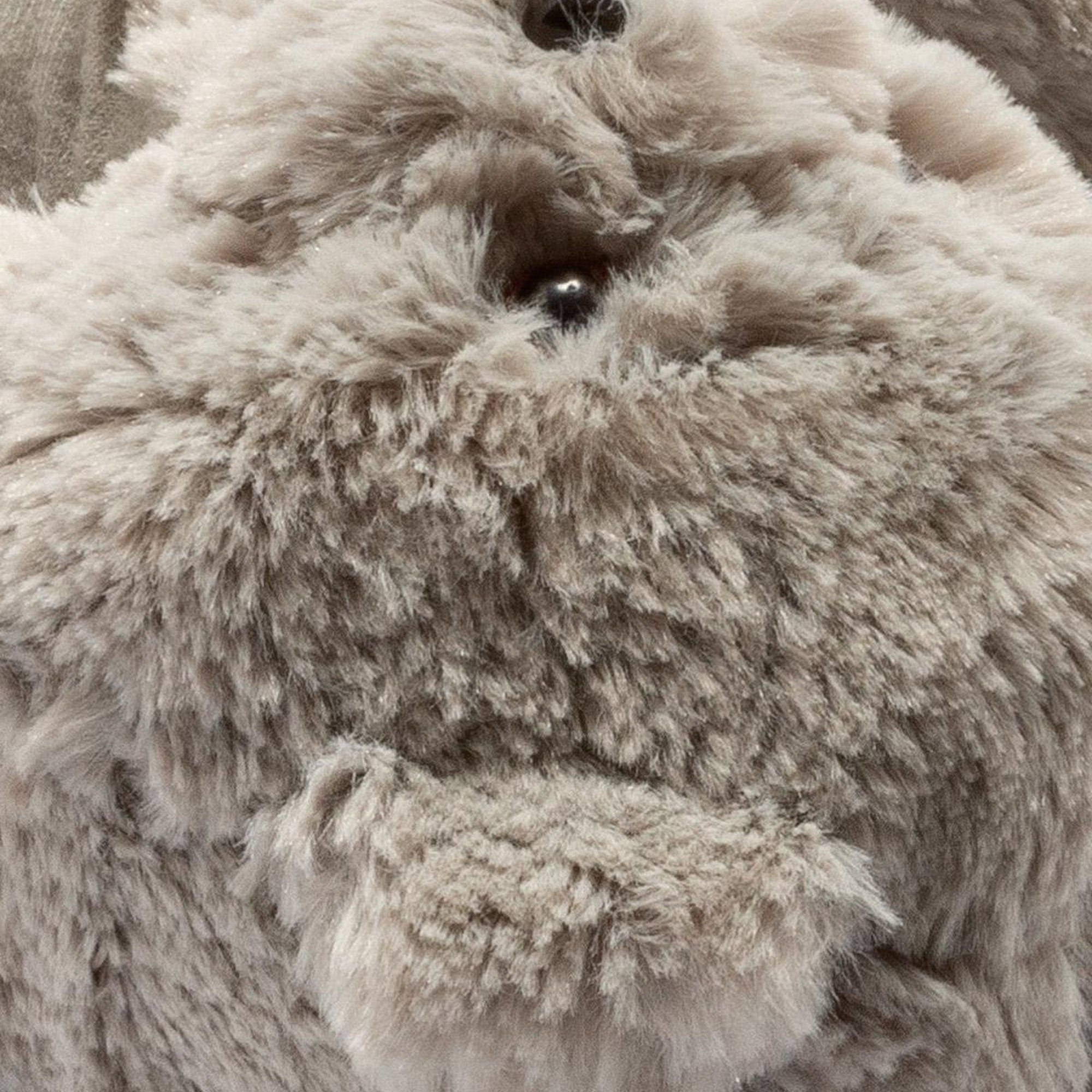 Teddy Kadın,Garson Boy Hayvanlı Panduf Gri 36/41