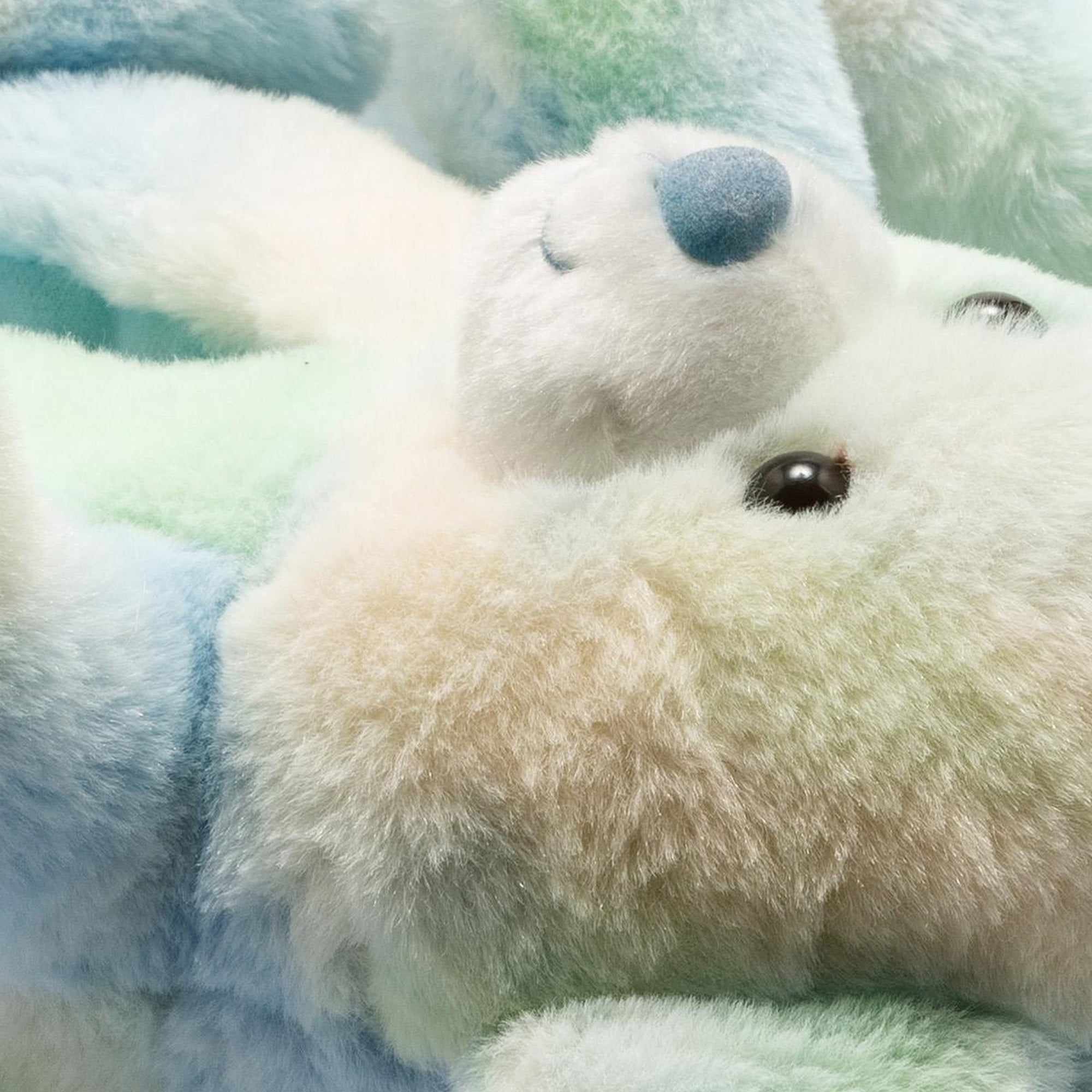 Yogi Kadın Hayvanlı Panduf Mavi 36/41