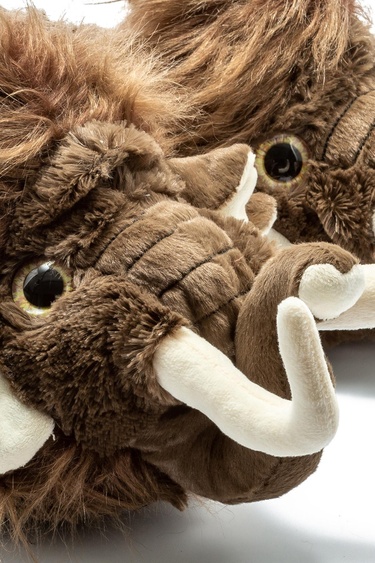  Mamut Kadın,Garson Boy Hayvanlı Panduf Kahverengi 33/38