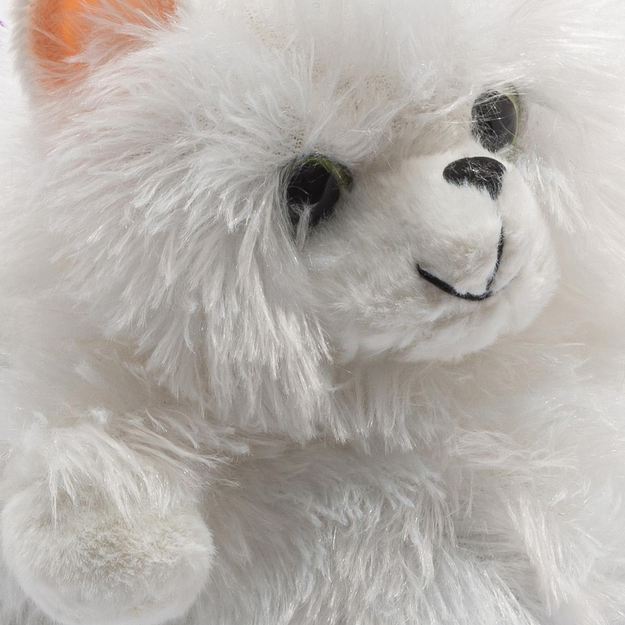 Kedi-3 Kadın Hayvanlı Panduf Beyaz 36/41