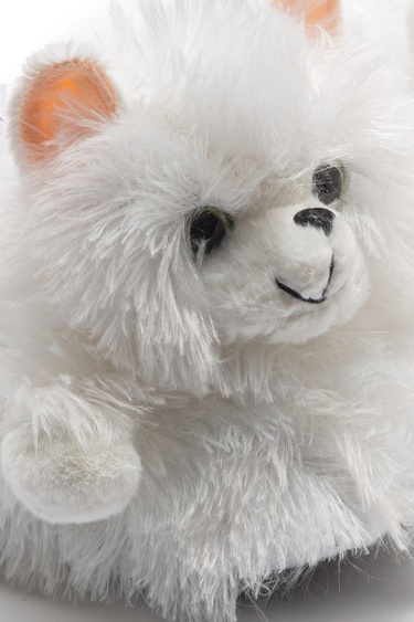  Kedi-3 Kadın Hayvanlı Panduf Beyaz 36/41