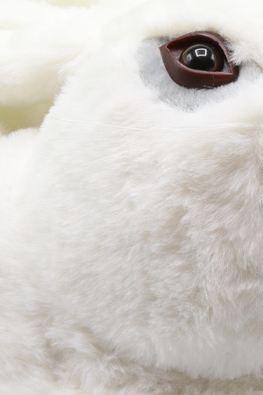  Zulu Kadın Hayvanlı Panduf Beyaz 36/41