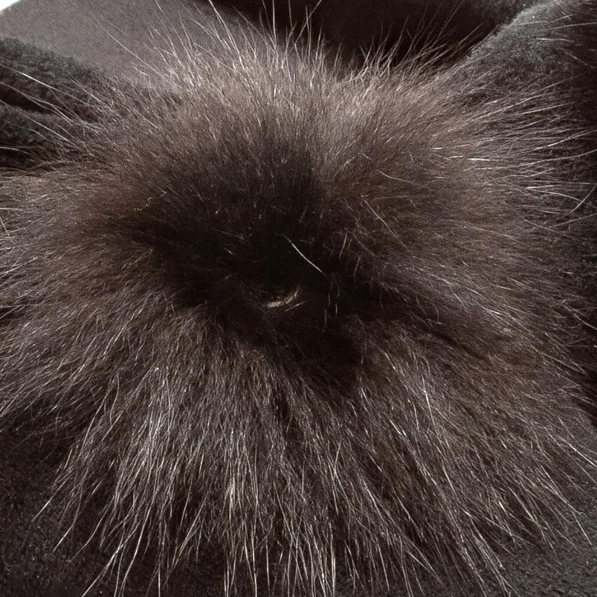 Remedy Kadın Ev Terliği Siyah 36/41