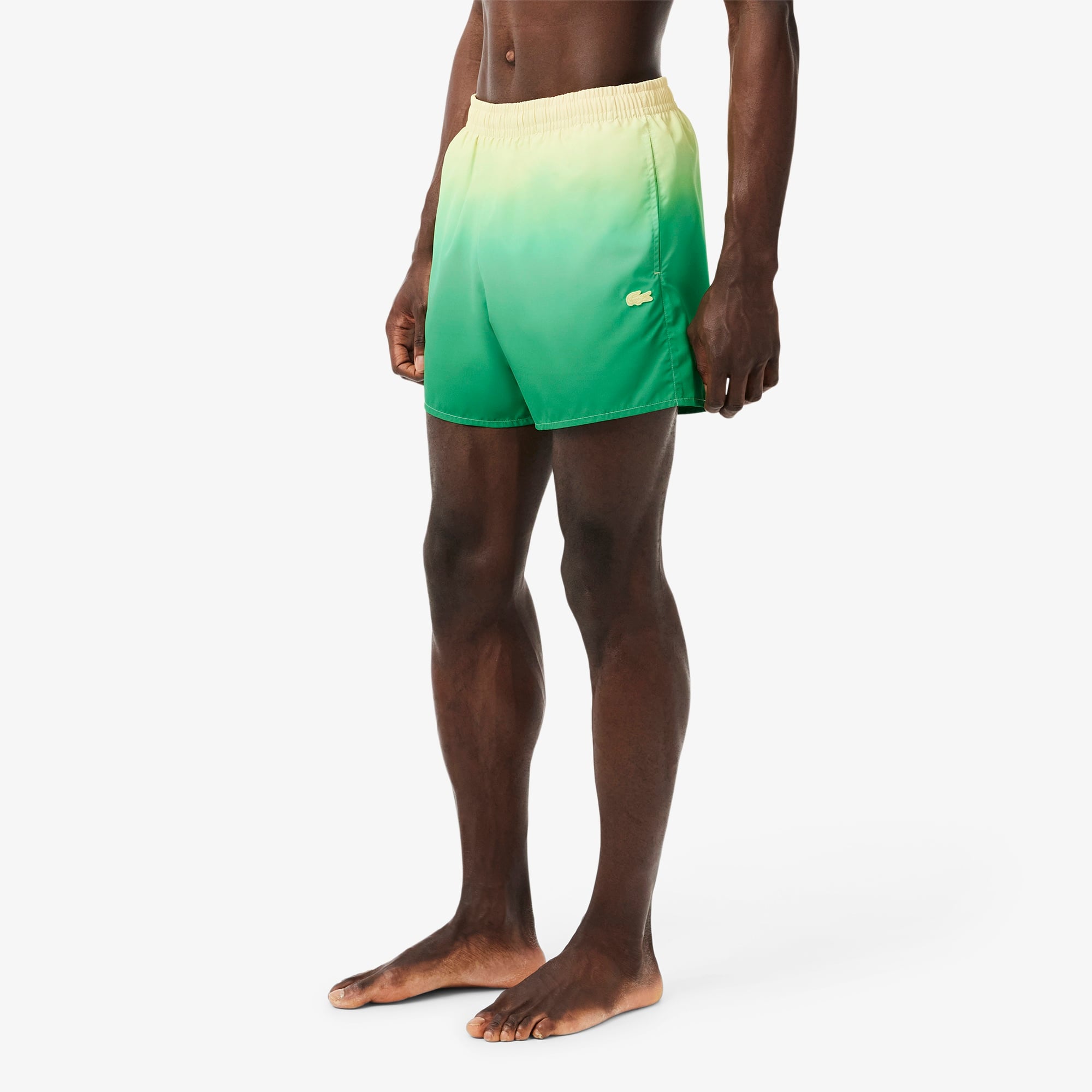 Lacoste Erkek Renk Bloklu Yeşil Deniz Şortu