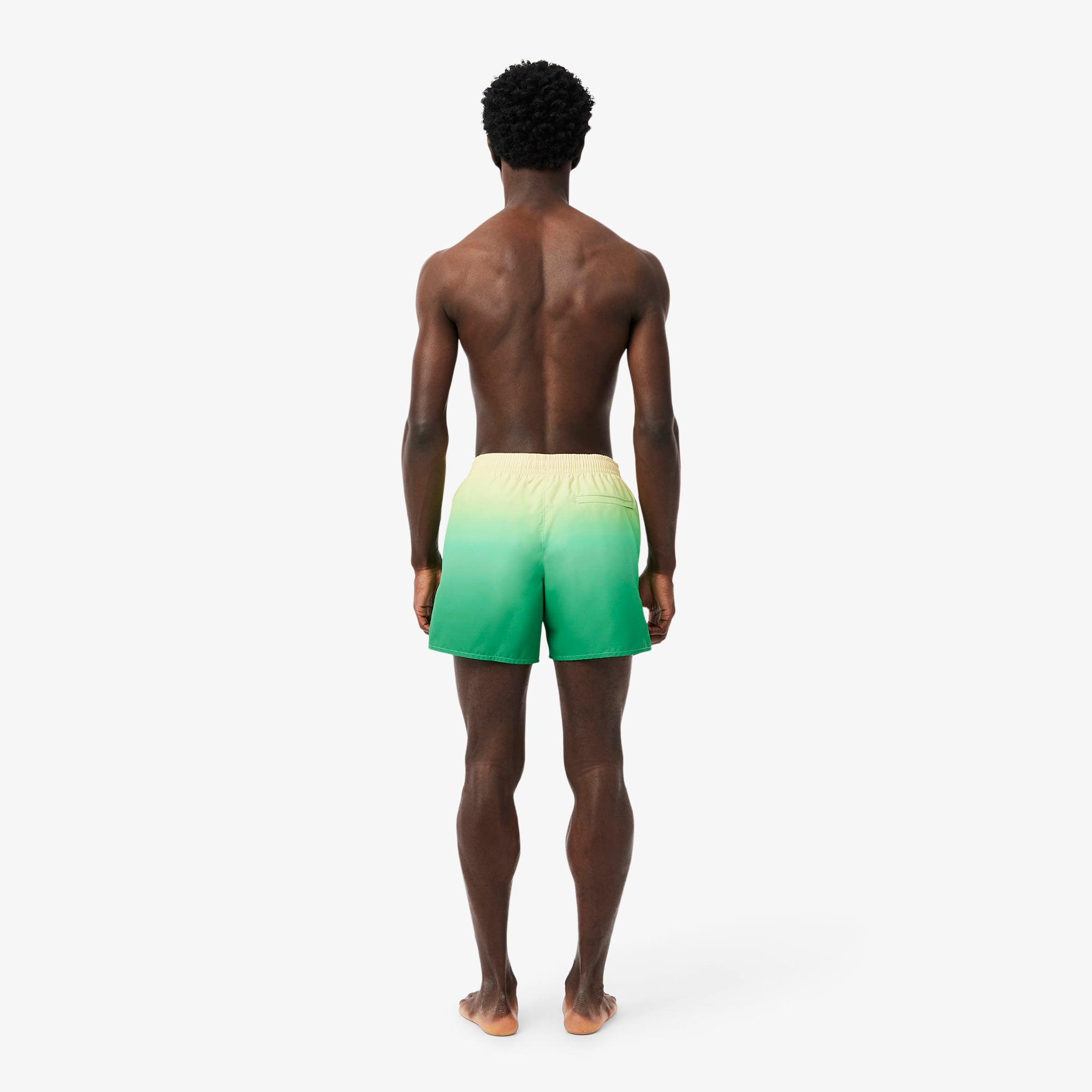 Lacoste Erkek Renk Bloklu Yeşil Deniz Şortu