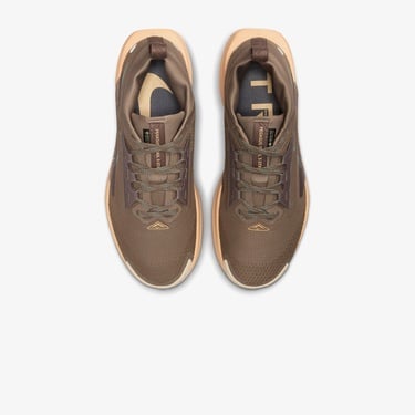 Nike Pegasus Trail 5 Gore-Tex Kadın Kahverengi Koşu Ayakkabısı