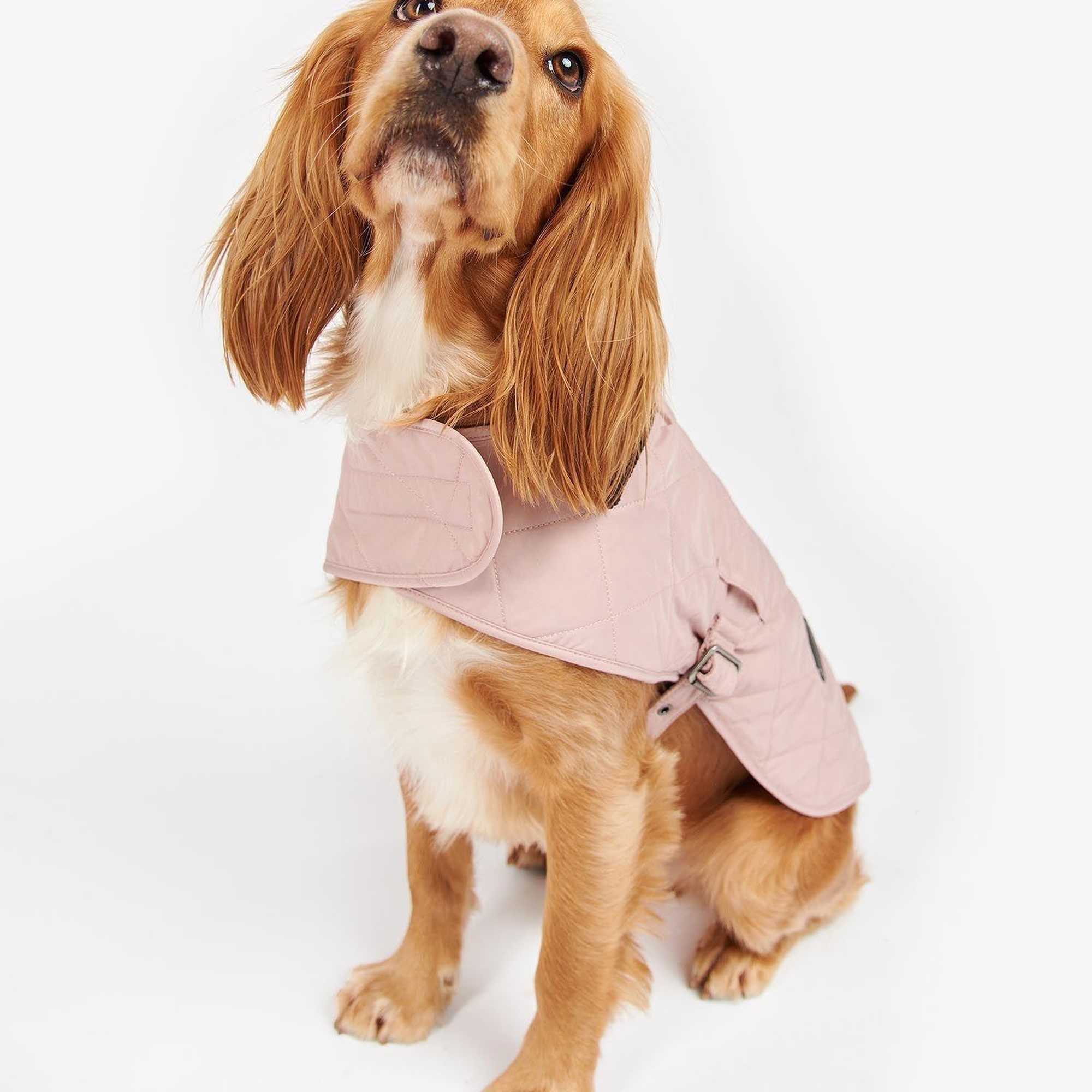 Barbour Quilted Köpek Kıyafeti