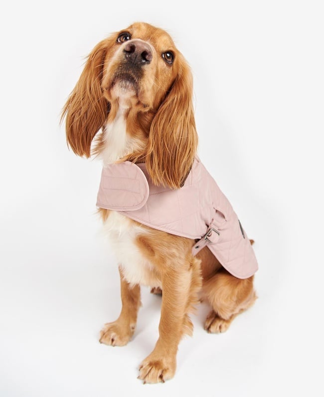  Barbour Quilted Köpek Kıyafeti