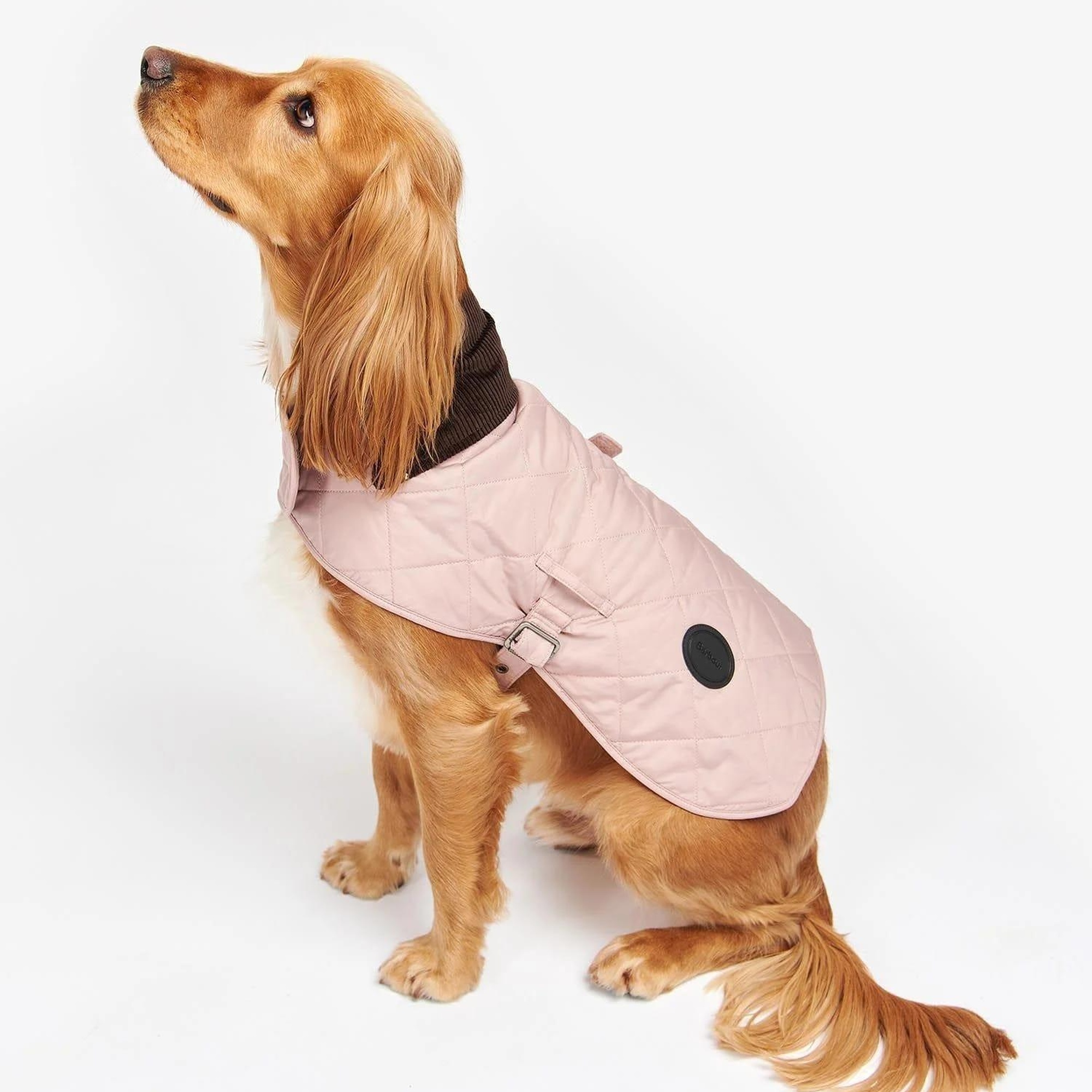 Barbour Quilted Köpek Kıyafeti