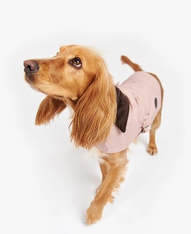 Barbour Quilted Köpek Kıyafeti