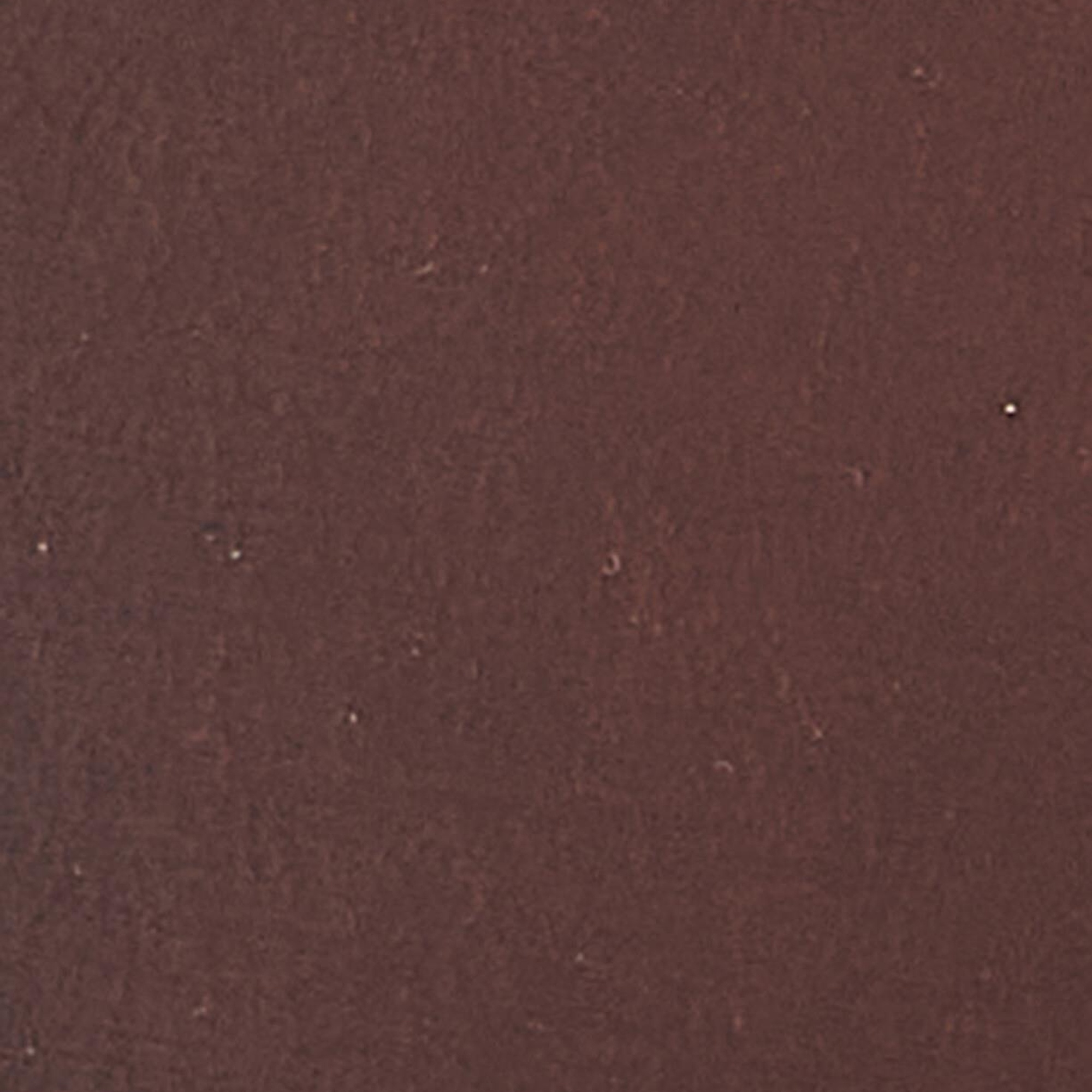 Barbour Double Rivet Kemer