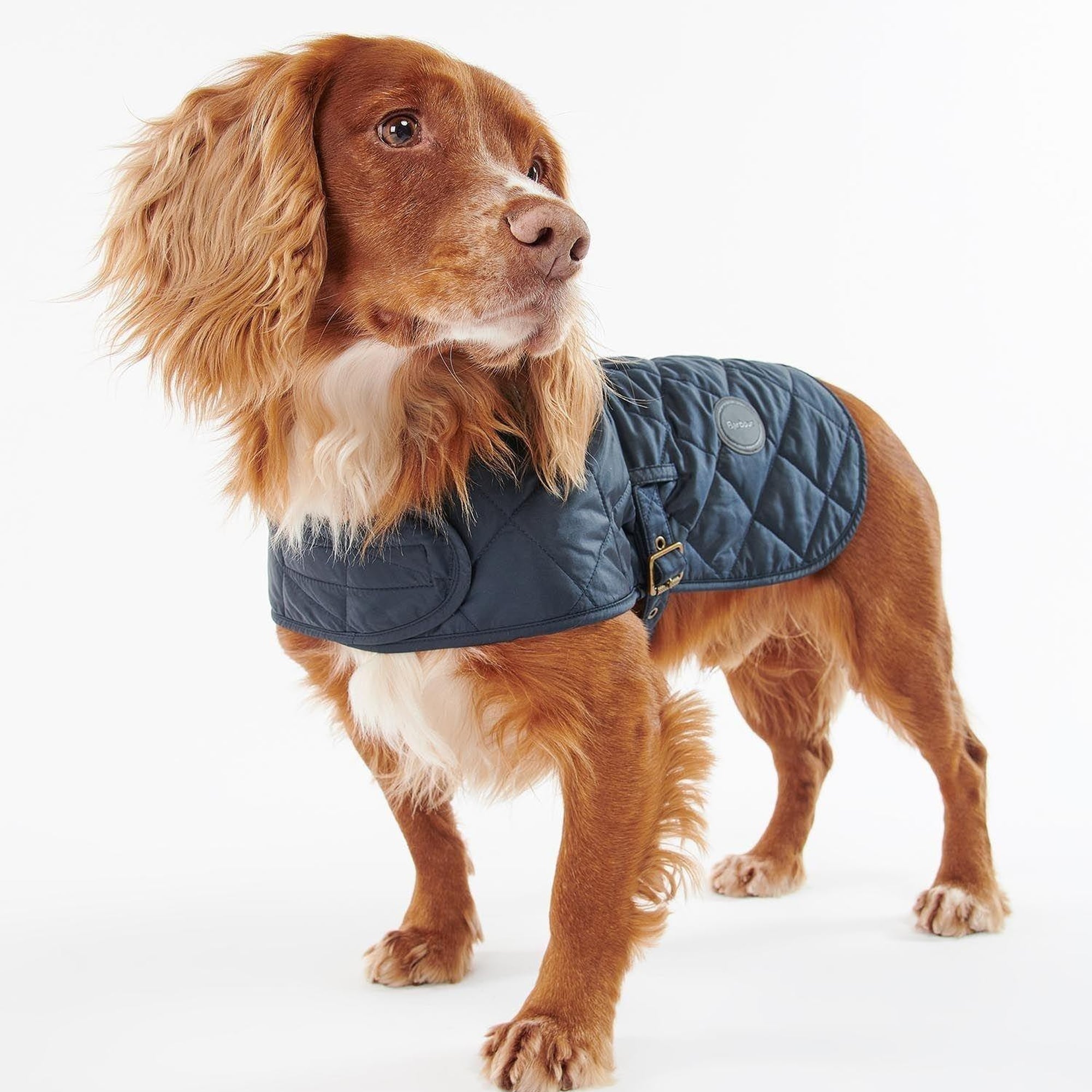 Barbour Quilted Köpek Kıyafeti