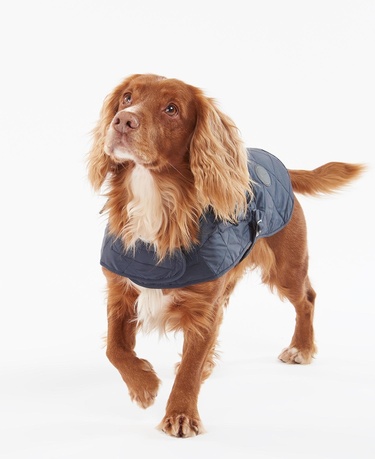 Barbour Quilted Köpek Kıyafeti