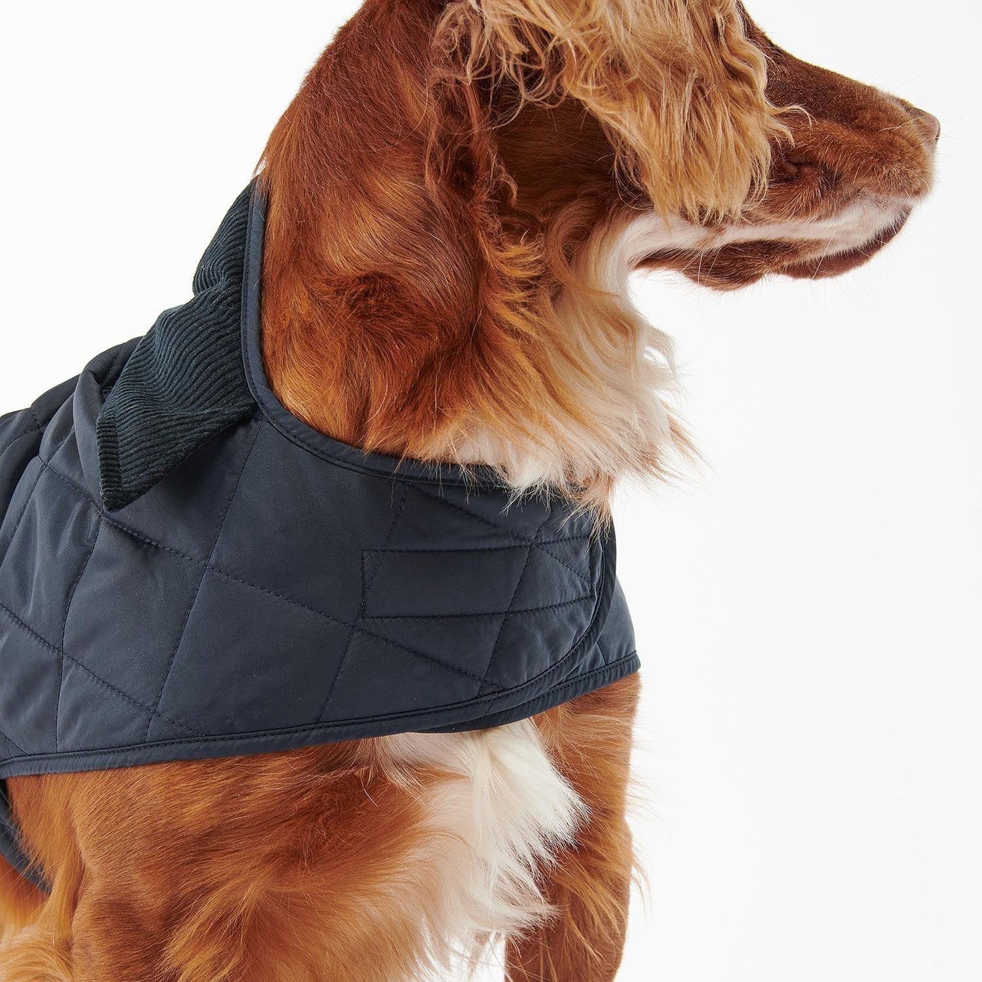 Barbour Quilted Köpek Kıyafeti