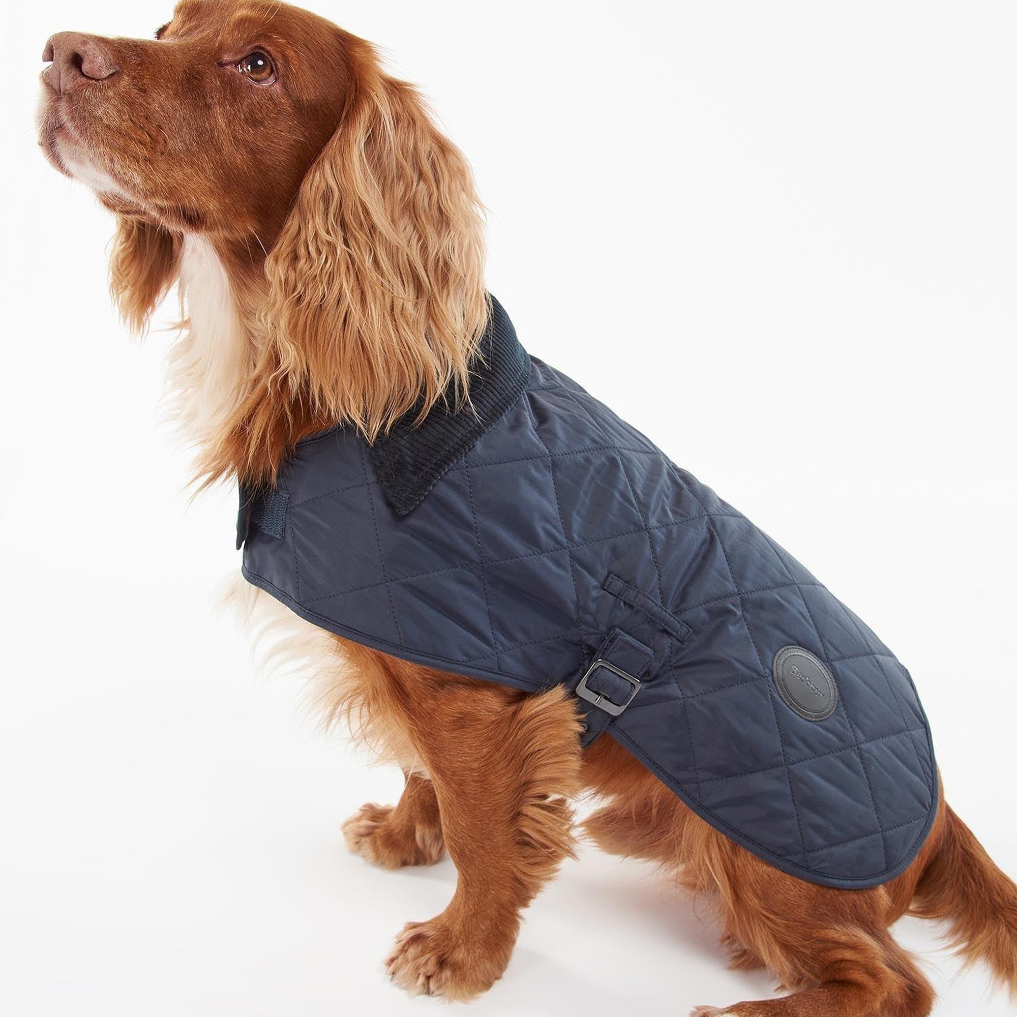 Barbour Quilted Köpek Kıyafeti