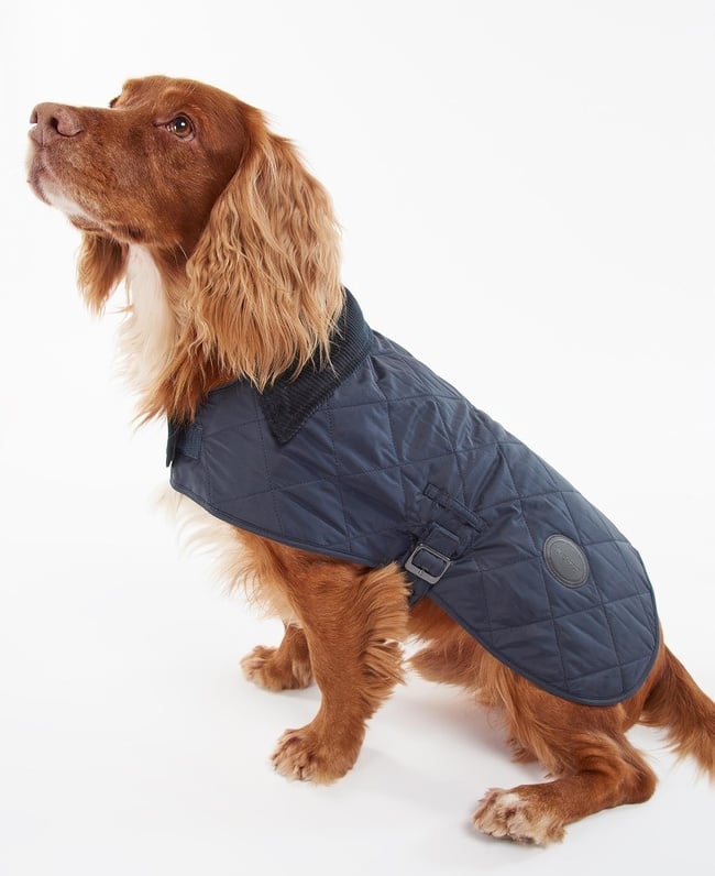  Barbour Quilted Köpek Kıyafeti