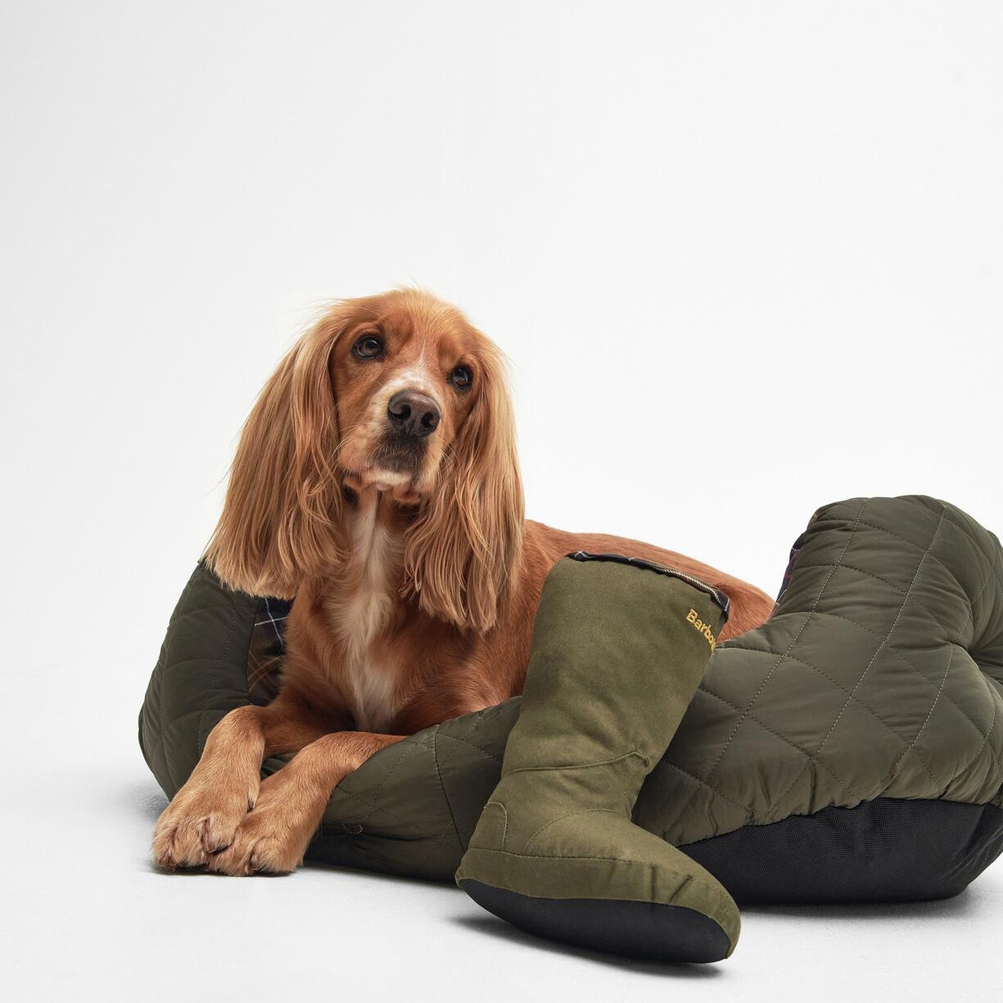 Barbour Wellington Bot Köpek Oyuncağı