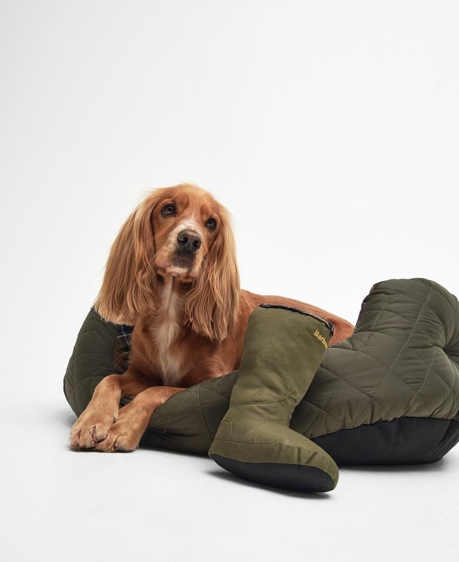  Barbour Wellington Bot Köpek Oyuncağı