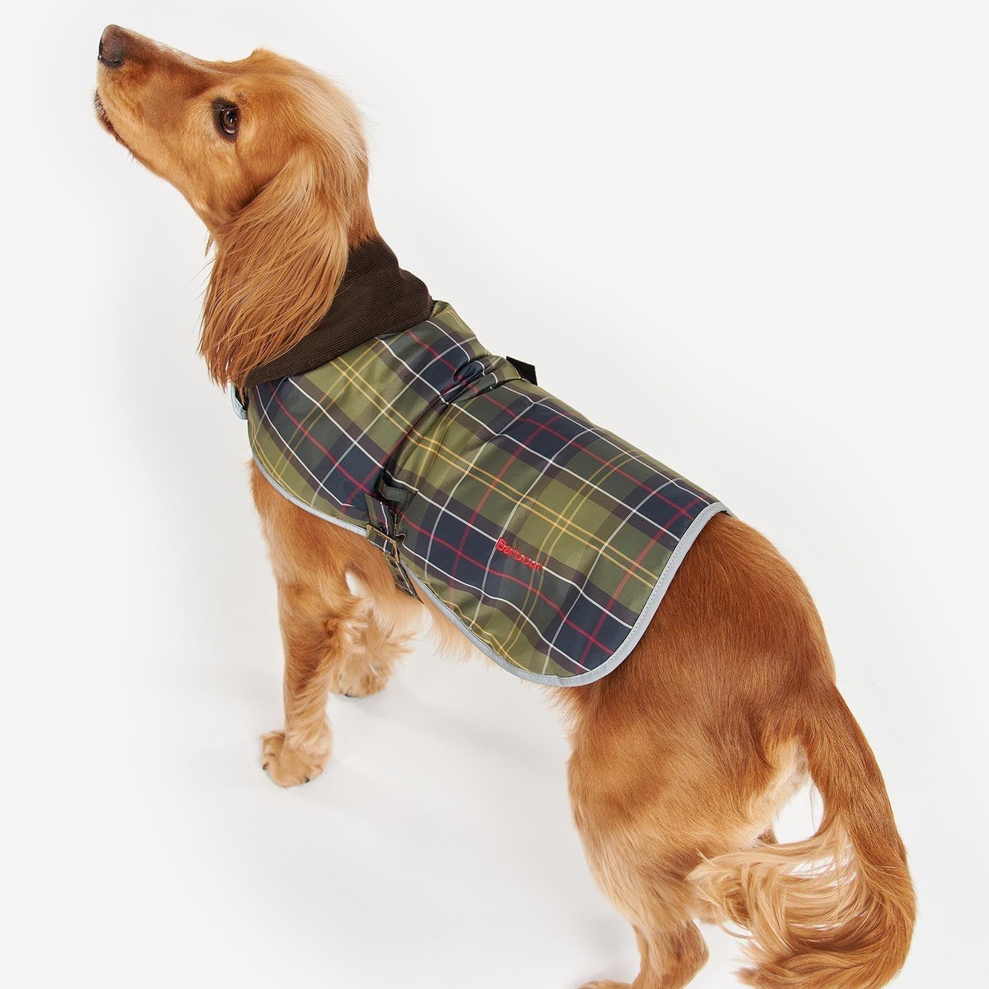 Barbour Wetherham Ekose Köpek Montu