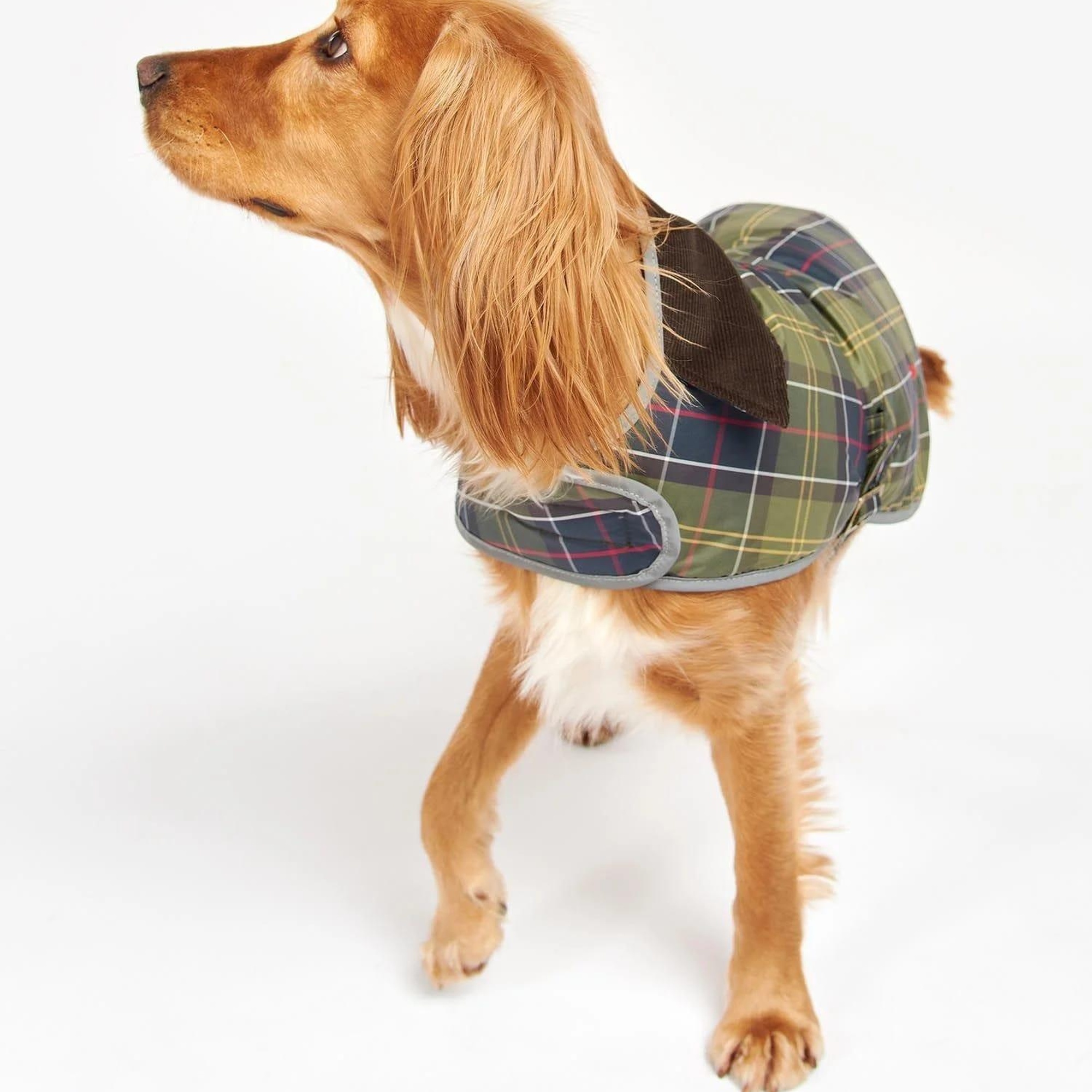 Barbour Wetherham Ekose Köpek Montu