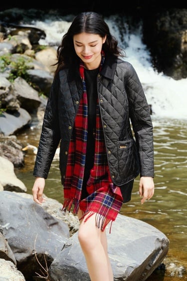  Barbour Annandale Kapitone Ceket