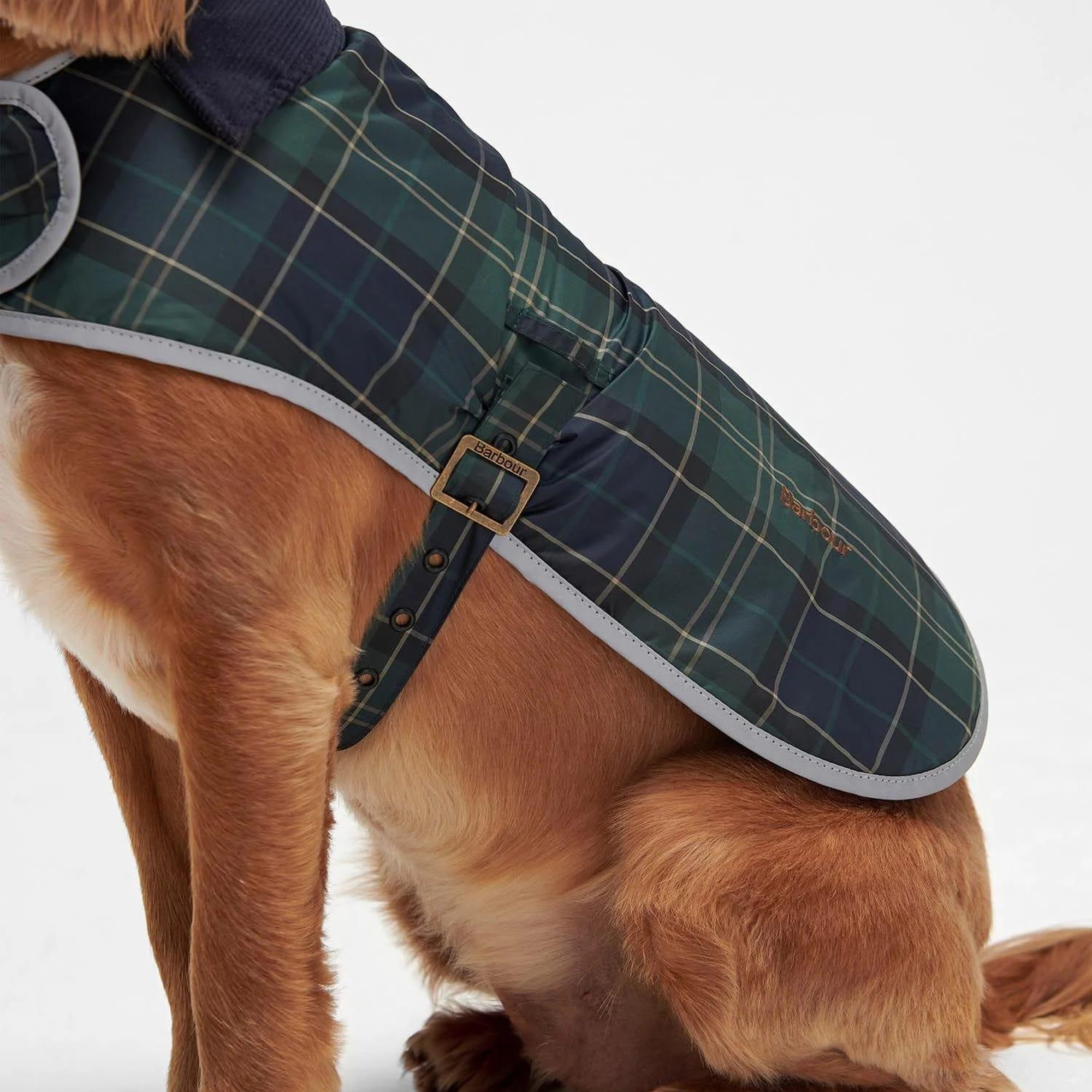 Barbour Wetherham Ekose Köpek Montu