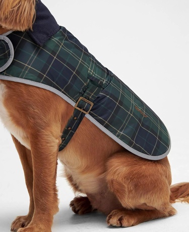  Barbour Wetherham Ekose Köpek Montu