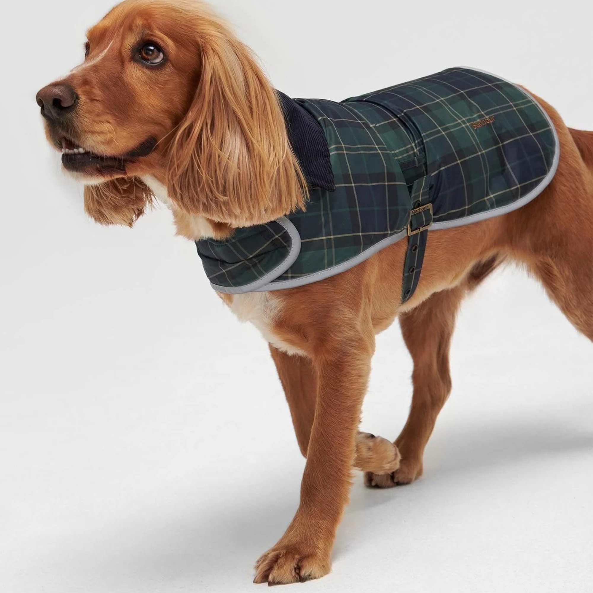 Barbour Wetherham Ekose Köpek Montu