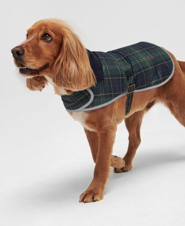  Barbour Wetherham Ekose Köpek Montu