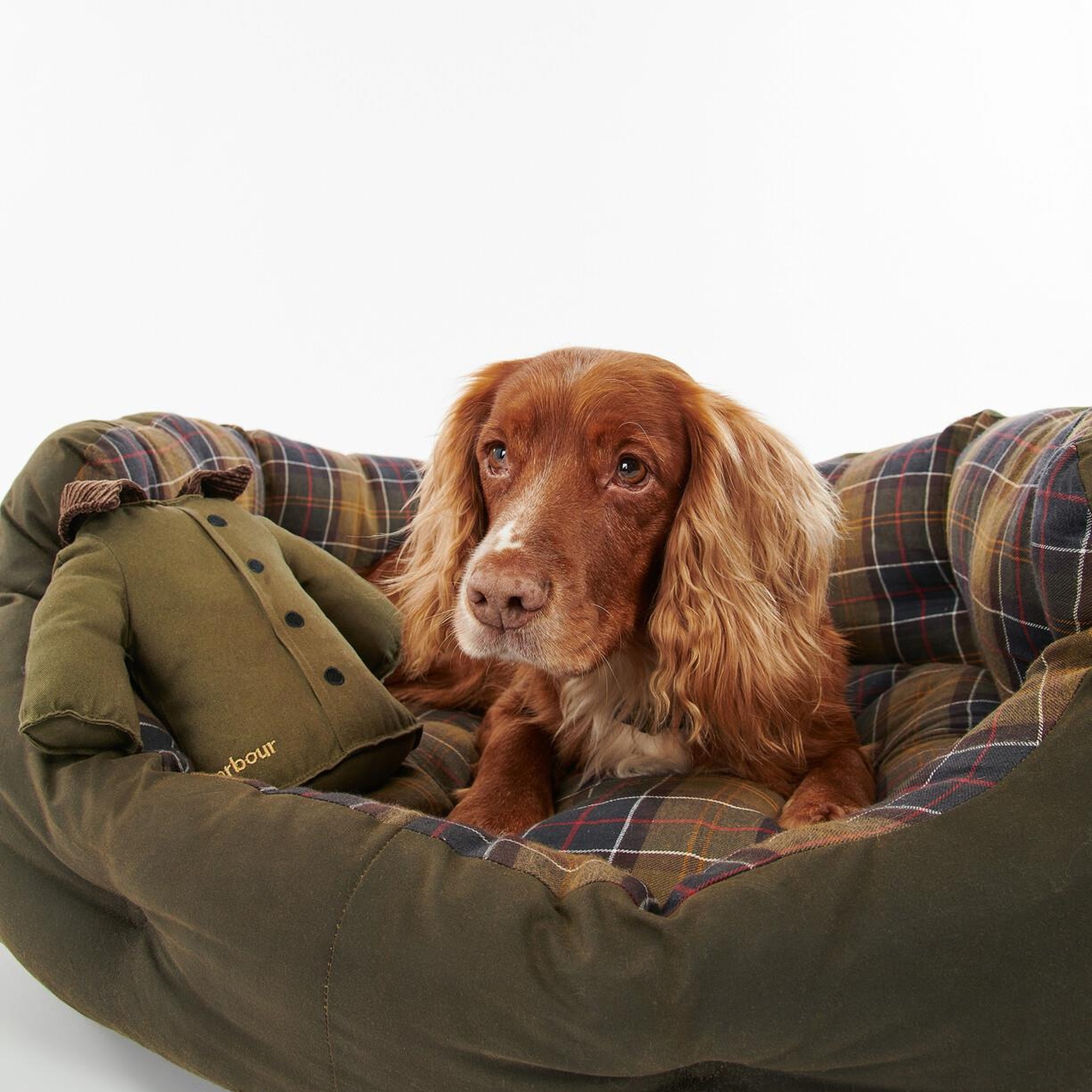 Barbour Ceket Köpek Oyuncağı