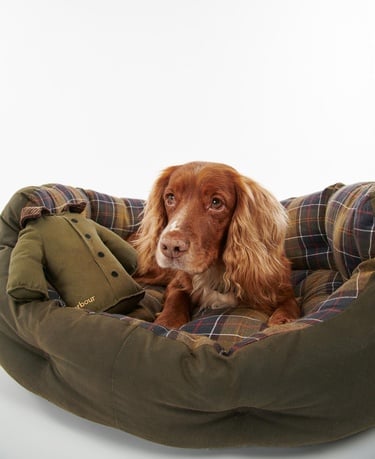  Barbour Ceket Köpek Oyuncağı
